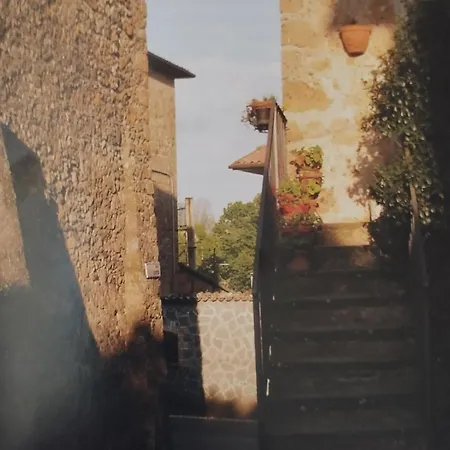 The Little House