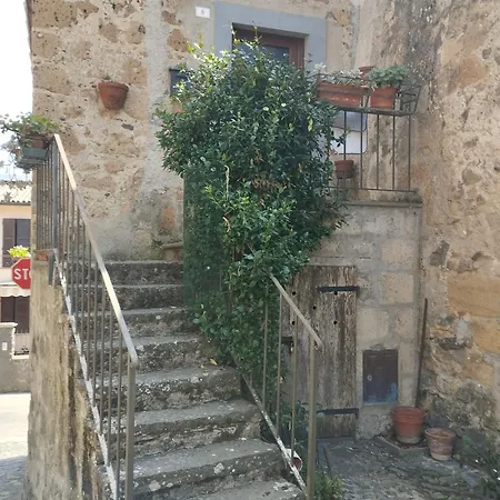 The Little House Tatil Evi *